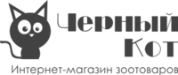 Чёрный кот